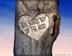 BOY IN THE HOOD